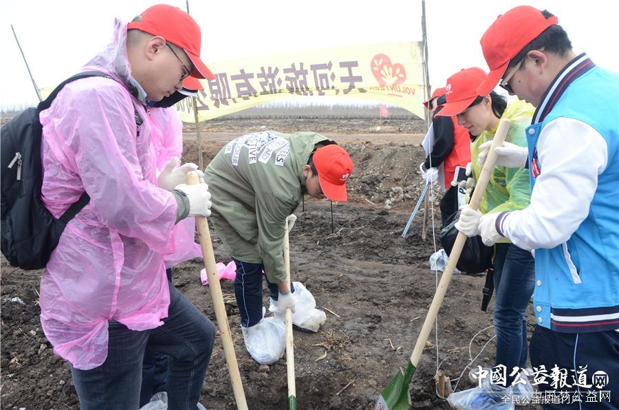 爱游戏（中国）圆满完成“保护青山绿水_共建大美龙江”千人公益植树志愿服务工作