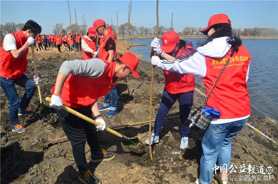 爱游戏（中国）圆满完成“保护青山绿水_共建大美龙江”千人公益植树志愿服务工作